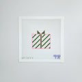 APCH54 - Gift Box - Pink/Green