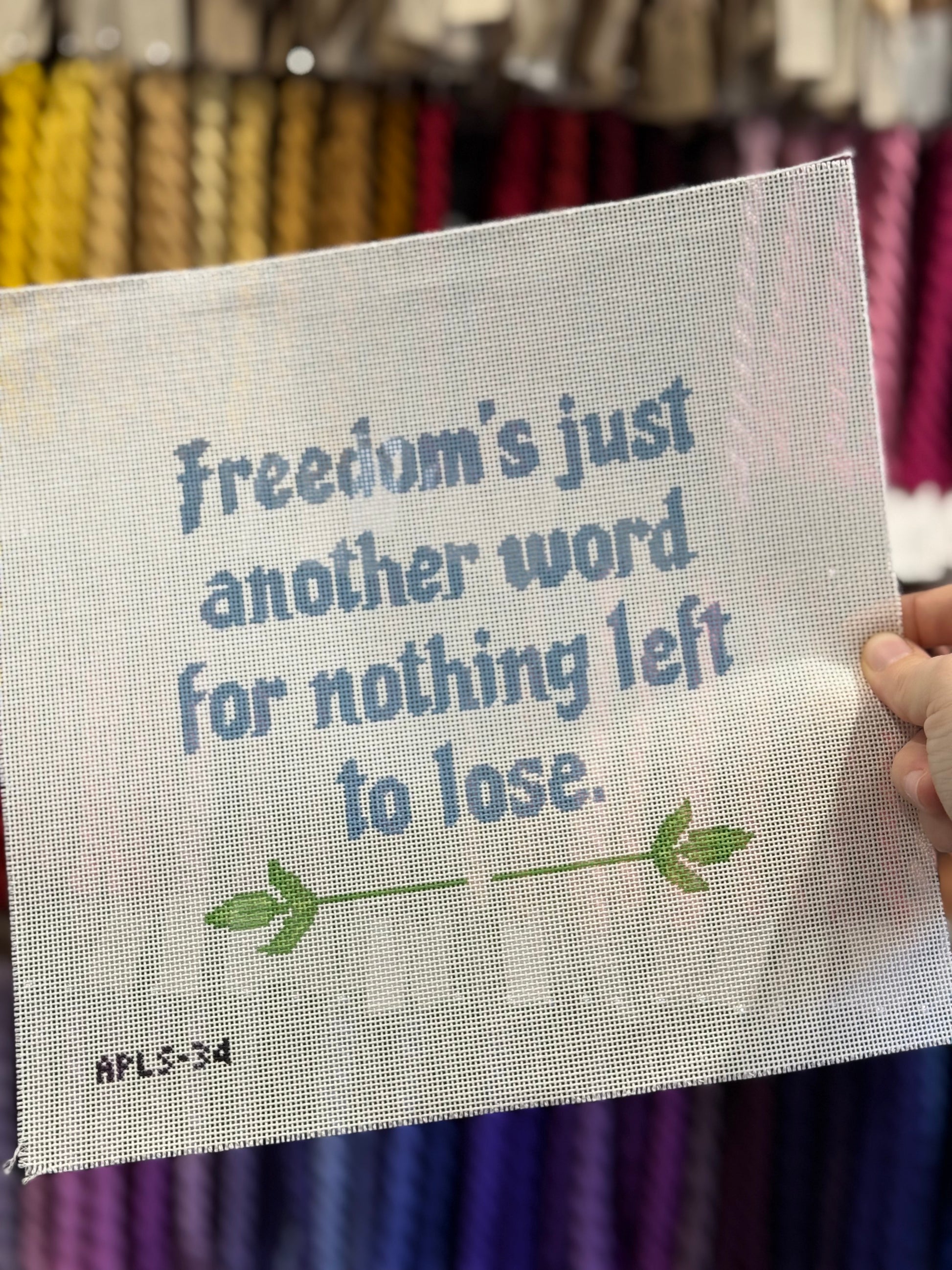 APLS34 - "Freedom's just another word for nothing left to lose" Canvas