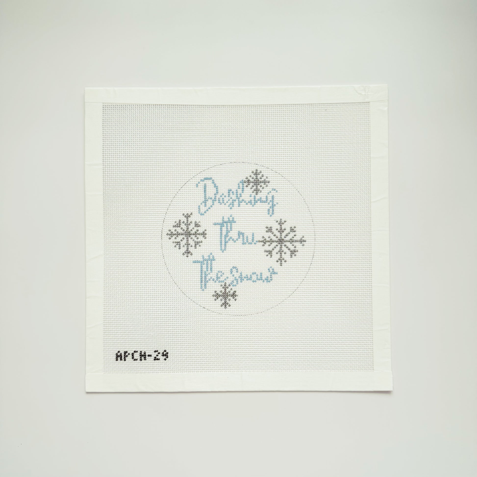 APCH29 - "Dashing thru the snow"