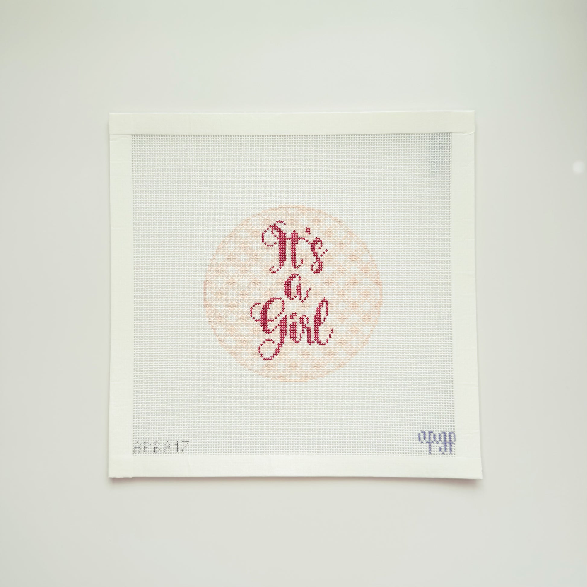 APBA17 - "It's a Girl" Gingham Canvas