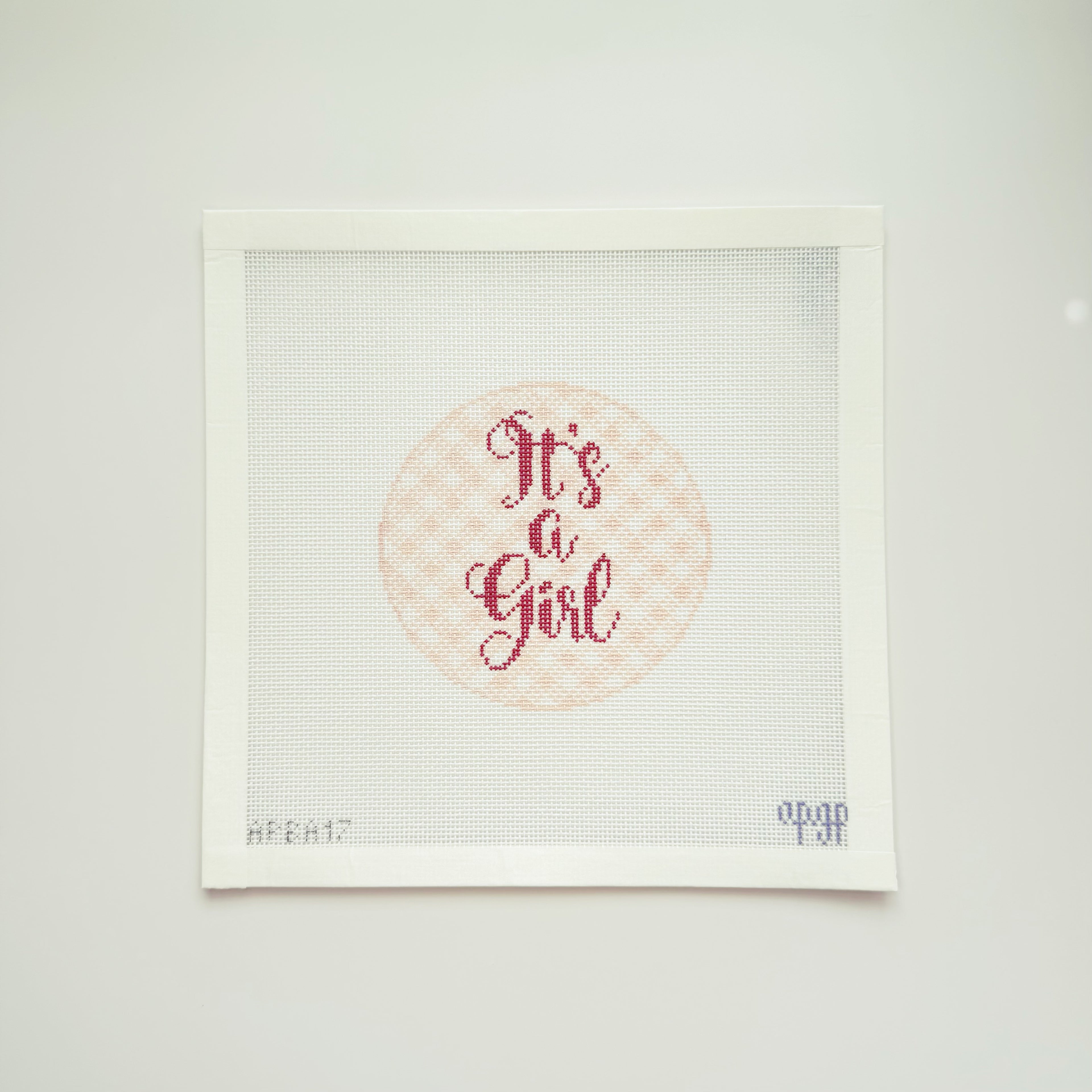 APBA17 - "It's a Girl" Gingham Canvas